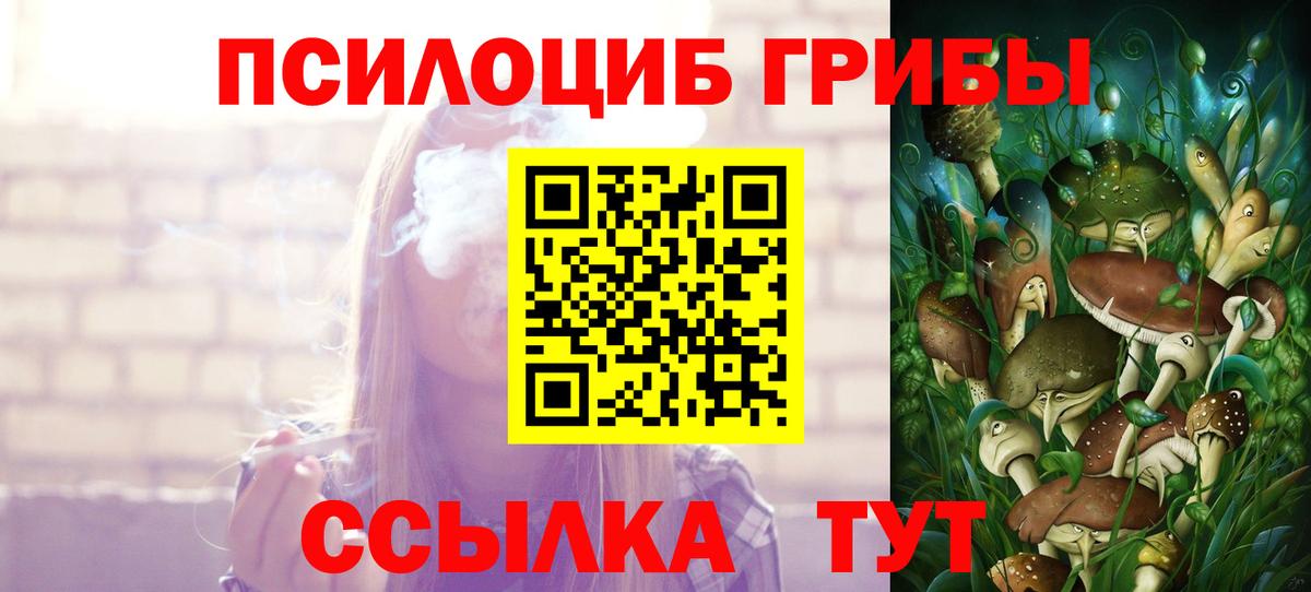 Дзержинский  Псилоцибиновые грибы GOLDEN TEACHER  Галлюциногенные грибы Psilocybine cubensis  Вход с VPN 