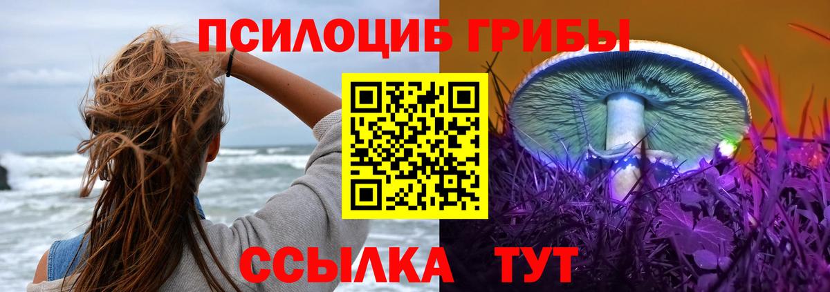 Псилоцибиновые грибы MAGIC MUSHROOMS Дзержинский